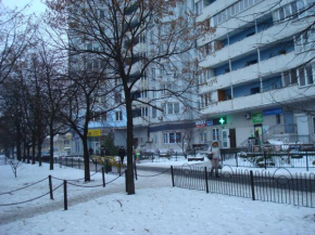 Дом с прекрасным видом в г. Киеве